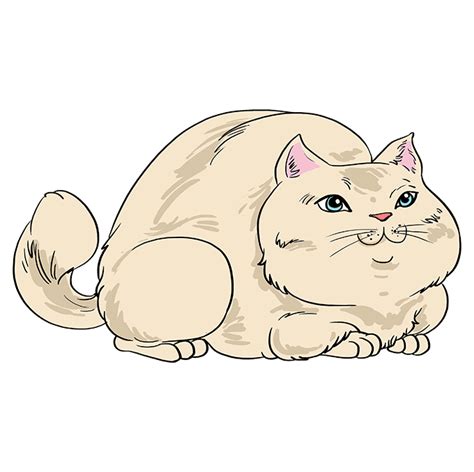 How To Draw A Fat Cat Really Easy Drawing Tutorial