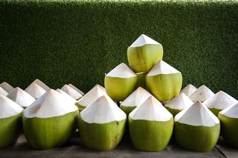 Peeled Top Easy Open Coconut Organic Fresh Coconut Young Buy Green