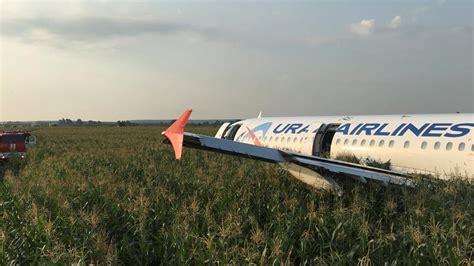 Russian Jet Collides With Flock Of Birds Makes Emergency Landing 23
