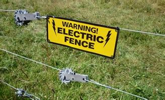 An underground dog fence allows you to create a parameter around your designated yard space. 2017 Electric Fencing Cost for Dogs & Horses | Invisible Fence Cost & Types