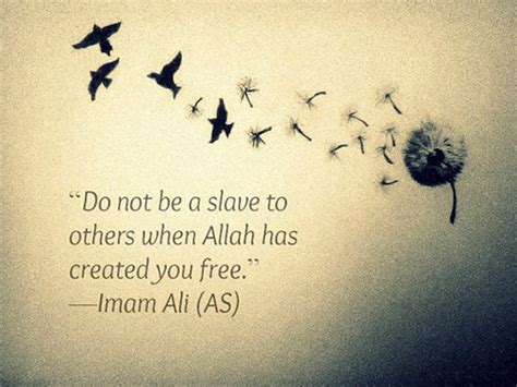 20+ Best Islamic Imam Hazrat Ali Quotes & Sayings In English