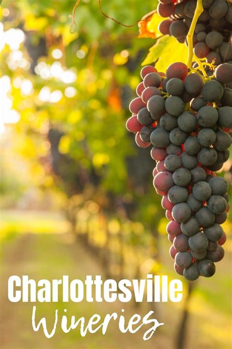 Charlottesville Wineries A Visit On The Monticello Wine Trail
