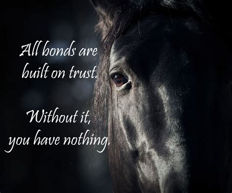 Best Friend Horse Bond Quotes Quotes