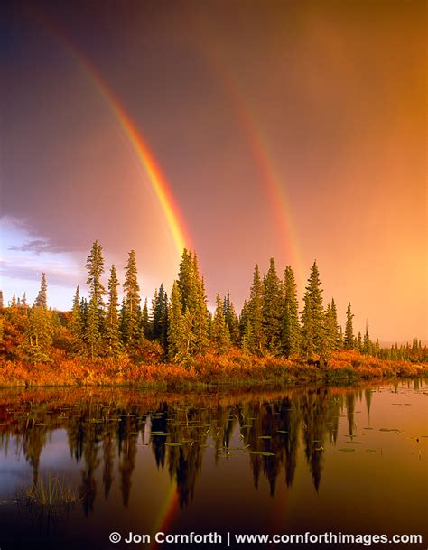 Denali Stormy Double Rainbow Sunset 1 Photo Picture Print Cornforth