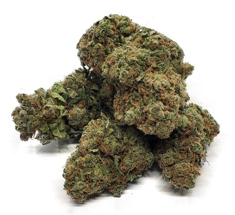 Gorilla Glue 4 Aka Gg4 Got Weed Online Dispensary Canada