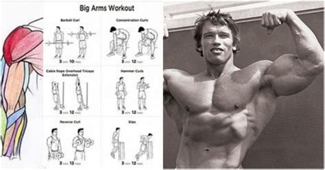 Biceps Curl Of All The Dumbbell Exercises For Biceps The Biceps Curl