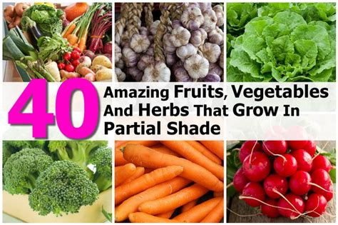 Check spelling or type a new query. 40 Amazing Fruits, Vegetables And Herbs That Grow In ...