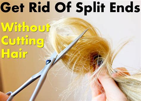 There are a couple of ways to repair hair damage without cutting your hair. Home Remedies For Split Ends - Without Cutting Hair Shaft ...