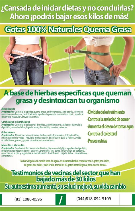 Los llamados alimentos quema grasa son una realidad, y te tenemos una lista completa de estos alimentos para que puedas perder peso comiendo. Espazios Monterrey