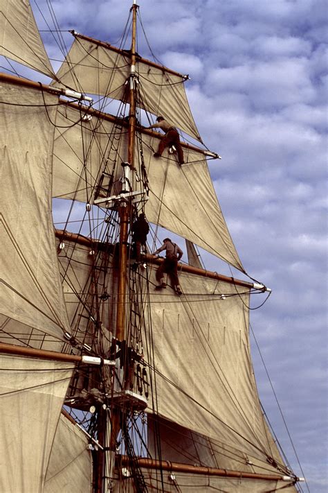 Crew In Rigging Of Tall Ship Sailing Ships Tall Ships Tall Ships Art