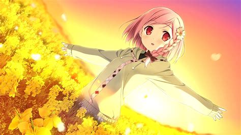 Wallpaper Illustration Sunset Flowers Anime Girls