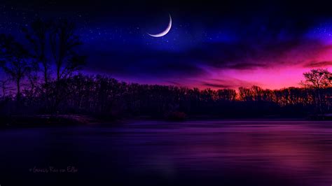 1440x900 Resolution Body Of Water Near Tree Under Crescent Moon