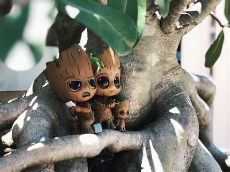 Family tree creator to visualize the ancestry and identify relationships. พอ แม ลก #groot #iamgroot #babygroot #family #tree # ...