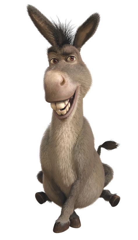 They come in a variety of colors, but the most common color is dun and white. What is the name of the donkey in Shrek? - Quora