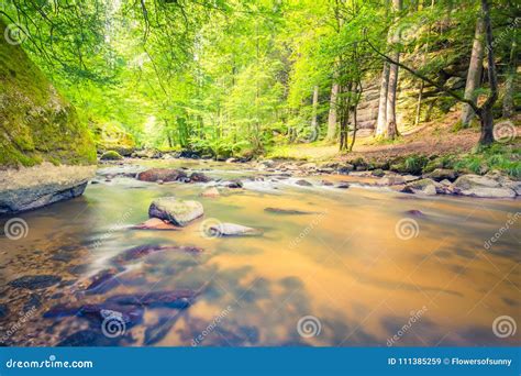 Beautiful Mountain River Stream Sunny Nature Background Of River And