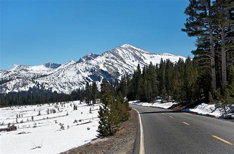 Best Time For Tioga Road In Yosemite 2024 Best Season Roveme