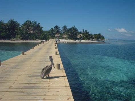 Remote Tropical Island Of Long Caye In The Lighthouse Reef Atoll