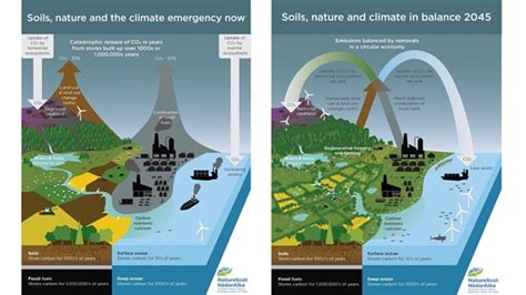 Naturescot Soils Nature And The Climate Emergency British Society