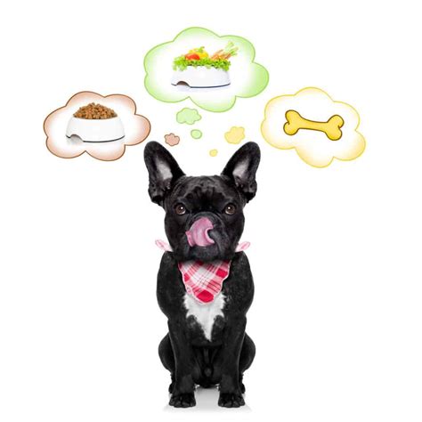 The merrick lil' plates grain free puppy and the lil' plates grain free lamb recipes only receive a 4 star rating. Merrick Dog Food Reviews 🦴 Puppy Food Recalls 2020 🦴 ...