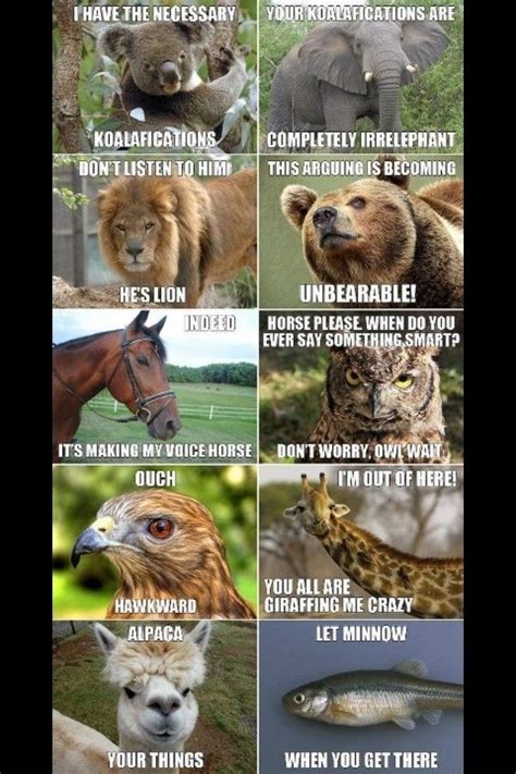 A Little Zoo Humor Animal Jokes Funny Animal Jokes Animal Puns