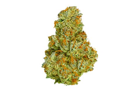 Sour Diesel Weed Strain Complete Guide For 2024 Stiiizy