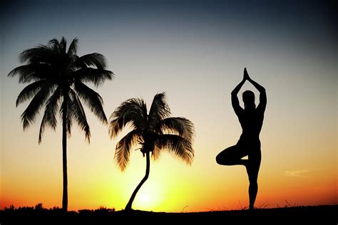 Yoga Tree Pose Photograph By Extreme Photographer Pixels