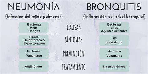Cuadros Comparativos Entre Pulmon A Y Bronquitis Cuadro Comparativo