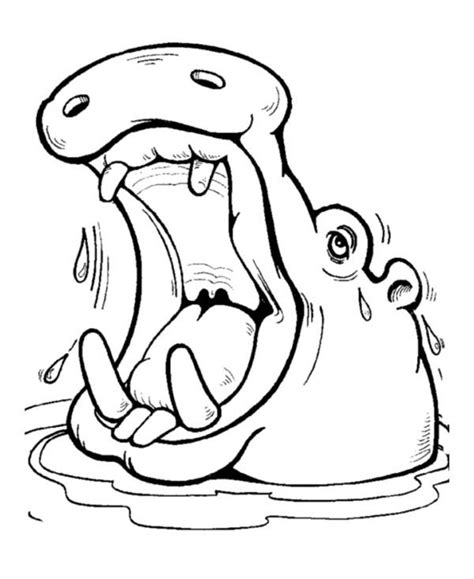 Maybe you would like to learn more about one of these? Coloring pages image by NetArt on Hippo Coloring Pages ...