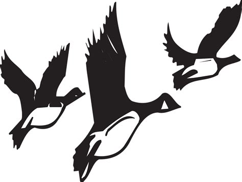 Geese Flying Birds Free Vector Graphic On Pixabay