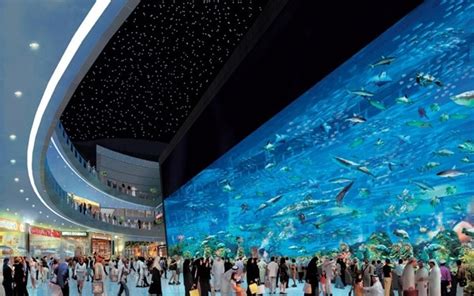 10 Largest Aquariums In The World