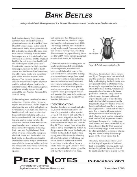 Bark Beetles Integrated Pest Management