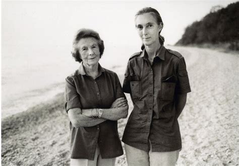 Timeline The Jane Goodall Institute
