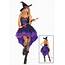 Broomstick Babe Witch Costume  Halloween Ideas 2021