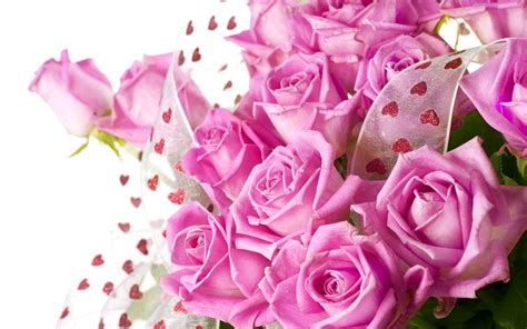 Pink Roses Backgrounds Wallpaper Cave