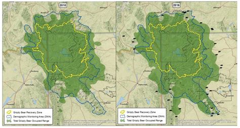 Wyoming Sets Next Steps For Grizzly Control Wyofile
