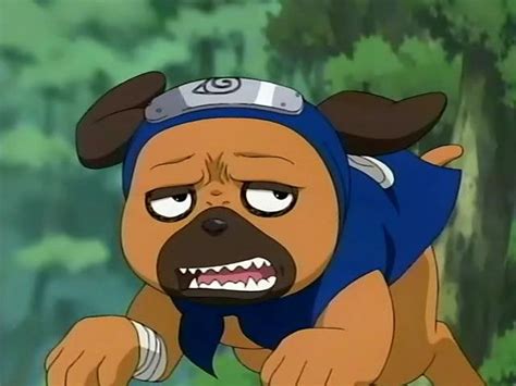 Kakashi Dog Summoning Naruto Shippuden Kakashi