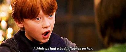 Harry Potter Characters Did Sorting Ilvermorny Ron