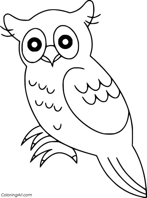 Pin On Bird Coloring Pages