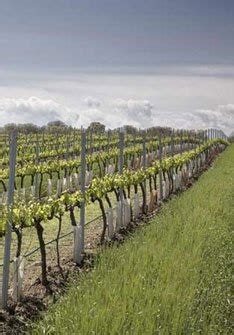 It recommends that efforts be intensified to eliminate occupational segregation, both horizontal and vertical. Vinos con DO Costers del Segre. Comprar online | enterwine.com