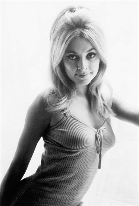 Actress sharon tate was born on january 24, 1943, in dallas, texas. Rare Photos of Sharon Tate - Sharon Tate Pictures