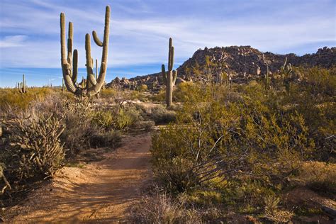 The 10 Best Hikes To Take In Phoenix