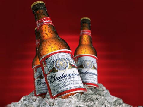 Budweiser Beer Reviews In Beer And Cider Chickadvisor