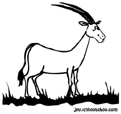 Babule en balade