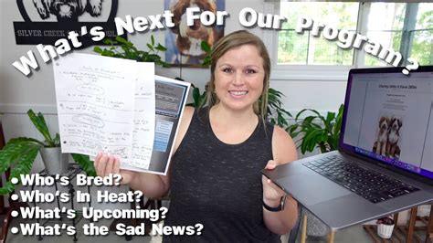 What's Up Next In Our Breeding Program? Sit Down and Talk - YouTube