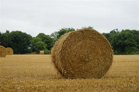 Straw Bale Free Stock Photo Public Domain Pictures