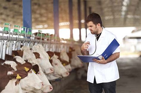 Aquéllas sujetas a los procedimientos establecidos en las disposiciones de sanidad animal, que desarrollan la secretaría o las personas físicas o morales, en. Legislaciones sobre sanidad animal se encuentran ...