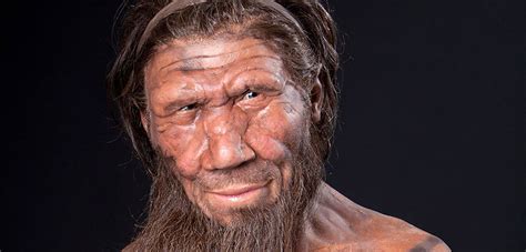 Neanderthal Dna Still Regulates Human Gene Expression