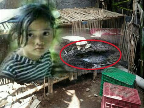 Budak 8 Tahun Diculik Serta Dibunuh Kejam Dan Tanam Dalam Reban Ayam Penyampai Warna