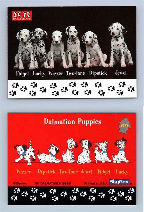 Dalmatian Puppies 60 Disney 101 Dalmatians 1996 Skybox Trading Card