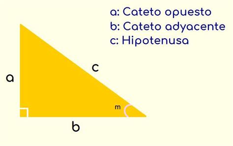 Escribe Las Partes Del Triángulo Correspondientes A Hipotenusa Cateto